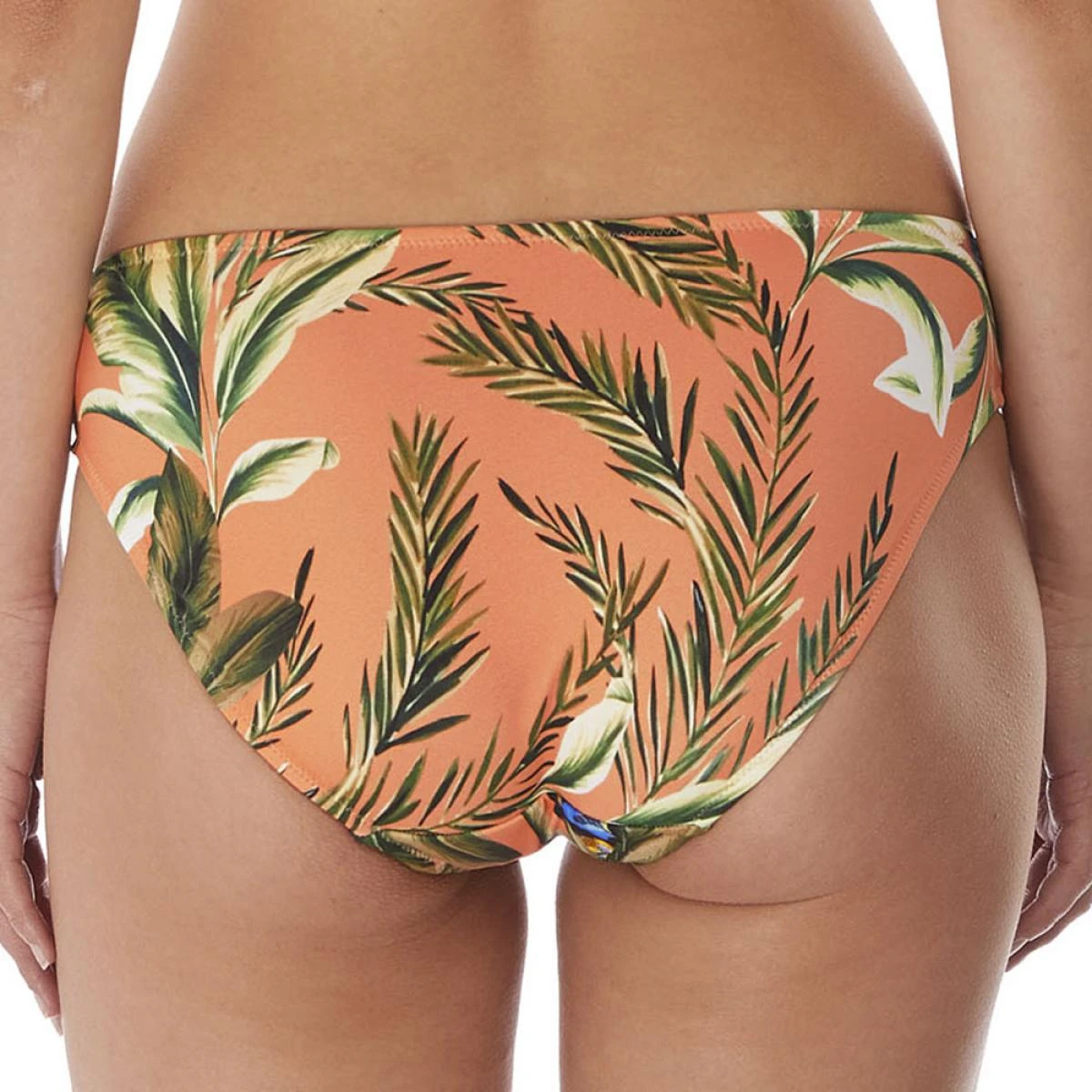 Culotte De Bain Classique Freya Maillots BIRDS IN PARADISE Cantaloupe Birds In Paradise – Image 4