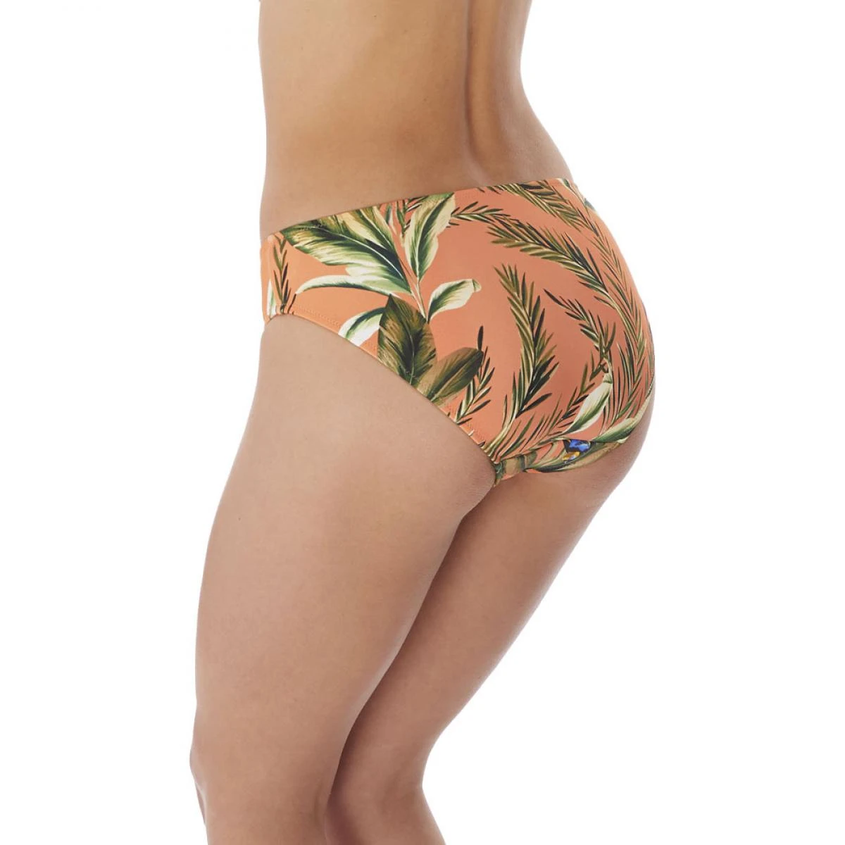 Culotte De Bain Classique Freya Maillots BIRDS IN PARADISE Cantaloupe Birds In Paradise – Image 5